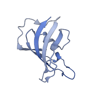 32036_7vmr_H_v1-0
Structure of recombinant RyR2 mutant K4593A (EGTA dataset)