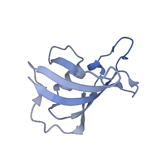 32036_7vmr_I_v1-0
Structure of recombinant RyR2 mutant K4593A (EGTA dataset)