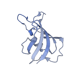 32036_7vmr_J_v1-0
Structure of recombinant RyR2 mutant K4593A (EGTA dataset)