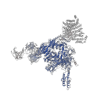 32037_7vms_A_v1-0
Structure of recombinant RyR2 mutant K4593A (Ca2+ dataset)