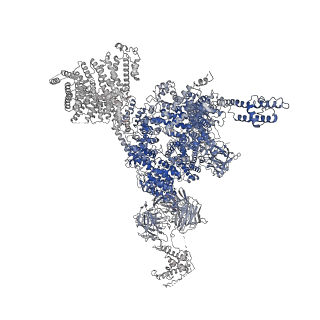 32037_7vms_B_v1-0
Structure of recombinant RyR2 mutant K4593A (Ca2+ dataset)