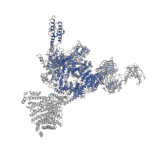32037_7vms_C_v1-0
Structure of recombinant RyR2 mutant K4593A (Ca2+ dataset)
