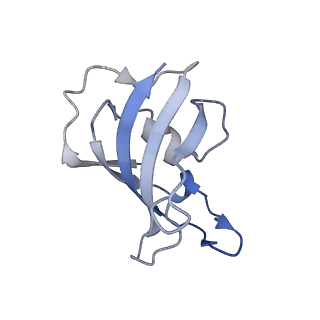 32037_7vms_G_v1-0
Structure of recombinant RyR2 mutant K4593A (Ca2+ dataset)