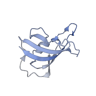 32037_7vms_H_v1-0
Structure of recombinant RyR2 mutant K4593A (Ca2+ dataset)