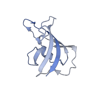 32037_7vms_I_v1-0
Structure of recombinant RyR2 mutant K4593A (Ca2+ dataset)