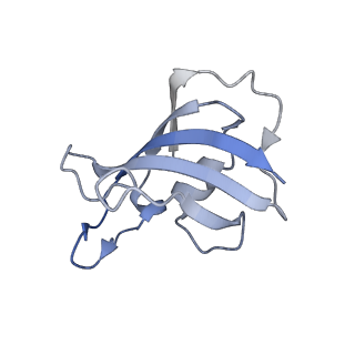 32037_7vms_J_v1-0
Structure of recombinant RyR2 mutant K4593A (Ca2+ dataset)