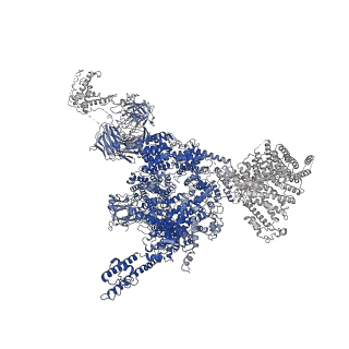33935_7vml_A_v1-0
Structure of recombinant RyR2 (EGTA dataset, class 1&2, closed state)