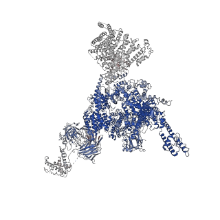33935_7vml_B_v1-0
Structure of recombinant RyR2 (EGTA dataset, class 1&2, closed state)