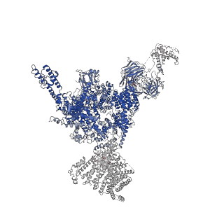 33935_7vml_D_v1-0
Structure of recombinant RyR2 (EGTA dataset, class 1&2, closed state)