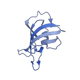 33935_7vml_G_v1-0
Structure of recombinant RyR2 (EGTA dataset, class 1&2, closed state)