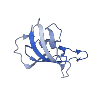 33935_7vml_H_v1-0
Structure of recombinant RyR2 (EGTA dataset, class 1&2, closed state)