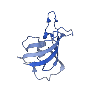 33935_7vml_I_v1-0
Structure of recombinant RyR2 (EGTA dataset, class 1&2, closed state)