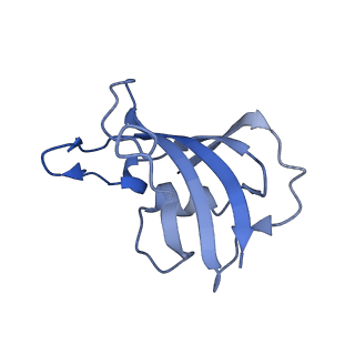 33935_7vml_J_v1-0
Structure of recombinant RyR2 (EGTA dataset, class 1&2, closed state)