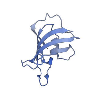 33936_7vmm_G_v1-0
Structure of recombinant RyR2 (EGTA dataset, class 1, closed state)