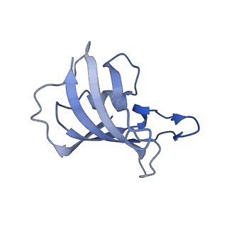 33936_7vmm_H_v1-0
Structure of recombinant RyR2 (EGTA dataset, class 1, closed state)