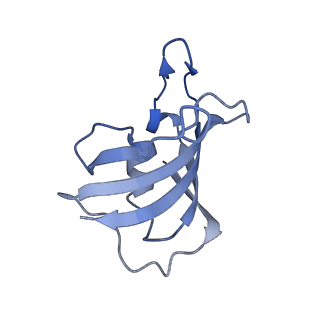 33936_7vmm_I_v1-0
Structure of recombinant RyR2 (EGTA dataset, class 1, closed state)