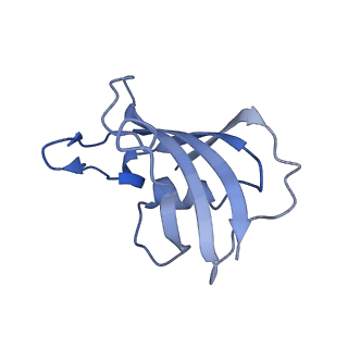 33936_7vmm_J_v1-0
Structure of recombinant RyR2 (EGTA dataset, class 1, closed state)
