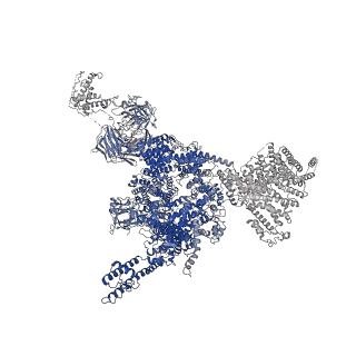 33937_7vmn_A_v1-0
Structure of recombinant RyR2 (EGTA dataset, class 2, closed state)