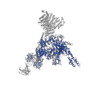 33937_7vmn_B_v1-0
Structure of recombinant RyR2 (EGTA dataset, class 2, closed state)