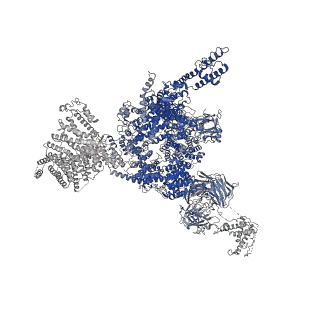 33937_7vmn_C_v1-0
Structure of recombinant RyR2 (EGTA dataset, class 2, closed state)