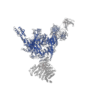 33937_7vmn_D_v1-0
Structure of recombinant RyR2 (EGTA dataset, class 2, closed state)