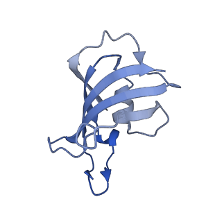 33937_7vmn_G_v1-0
Structure of recombinant RyR2 (EGTA dataset, class 2, closed state)