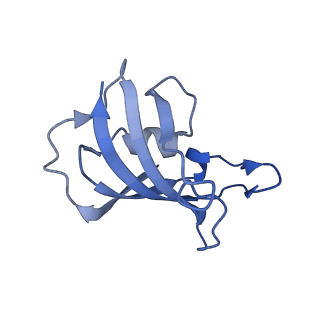 33937_7vmn_H_v1-0
Structure of recombinant RyR2 (EGTA dataset, class 2, closed state)
