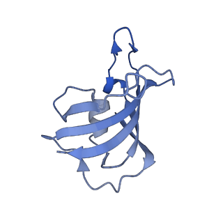 33937_7vmn_I_v1-0
Structure of recombinant RyR2 (EGTA dataset, class 2, closed state)