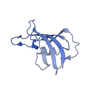 33937_7vmn_J_v1-0
Structure of recombinant RyR2 (EGTA dataset, class 2, closed state)