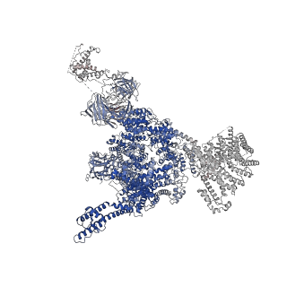 33938_7vmo_A_v1-0
Structure of recombinant RyR2 (Ca2+ dataset, class 1, open state)