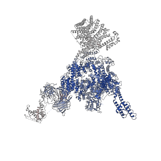 33938_7vmo_B_v1-0
Structure of recombinant RyR2 (Ca2+ dataset, class 1, open state)