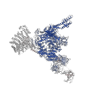 33938_7vmo_C_v1-0
Structure of recombinant RyR2 (Ca2+ dataset, class 1, open state)