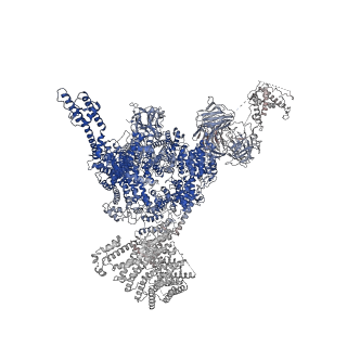 33938_7vmo_D_v1-0
Structure of recombinant RyR2 (Ca2+ dataset, class 1, open state)