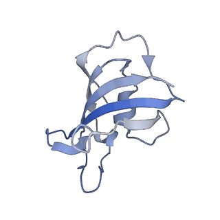 33938_7vmo_G_v1-0
Structure of recombinant RyR2 (Ca2+ dataset, class 1, open state)