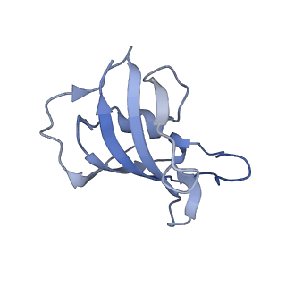 33938_7vmo_H_v1-0
Structure of recombinant RyR2 (Ca2+ dataset, class 1, open state)