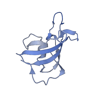 33938_7vmo_I_v1-0
Structure of recombinant RyR2 (Ca2+ dataset, class 1, open state)