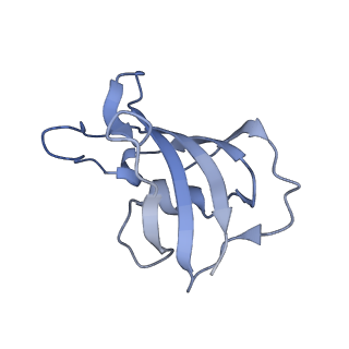 33938_7vmo_J_v1-0
Structure of recombinant RyR2 (Ca2+ dataset, class 1, open state)