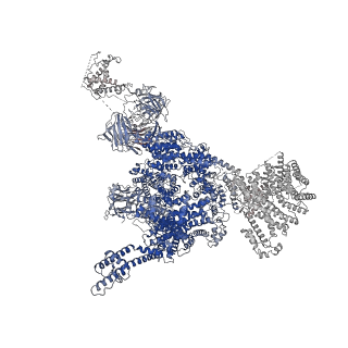 33939_7vmp_A_v1-0
Structure of recombinant RyR2 (Ca2+ dataset, class 2, open state)
