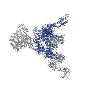 33939_7vmp_C_v1-0
Structure of recombinant RyR2 (Ca2+ dataset, class 2, open state)