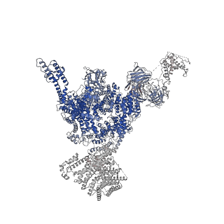 33939_7vmp_D_v1-0
Structure of recombinant RyR2 (Ca2+ dataset, class 2, open state)