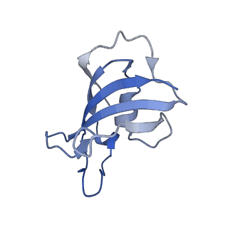 33939_7vmp_G_v1-0
Structure of recombinant RyR2 (Ca2+ dataset, class 2, open state)