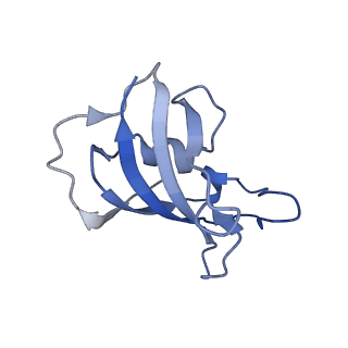 33939_7vmp_H_v1-0
Structure of recombinant RyR2 (Ca2+ dataset, class 2, open state)