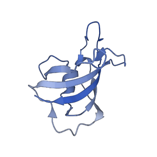 33939_7vmp_I_v1-0
Structure of recombinant RyR2 (Ca2+ dataset, class 2, open state)