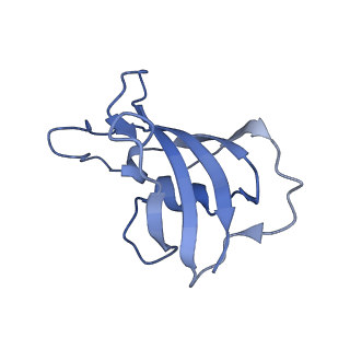 33939_7vmp_J_v1-0
Structure of recombinant RyR2 (Ca2+ dataset, class 2, open state)