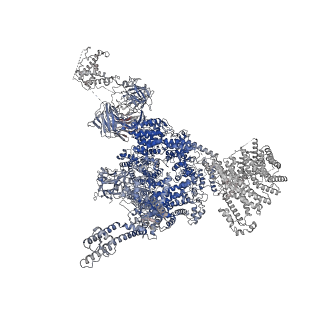 33940_7vmq_A_v1-0
Structure of recombinant RyR2 (Ca2+ dataset, class 3, open state)