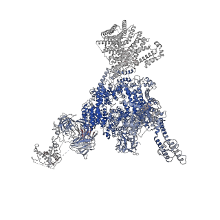 33940_7vmq_B_v1-0
Structure of recombinant RyR2 (Ca2+ dataset, class 3, open state)