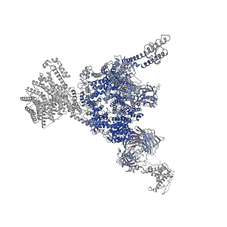 33940_7vmq_C_v1-0
Structure of recombinant RyR2 (Ca2+ dataset, class 3, open state)