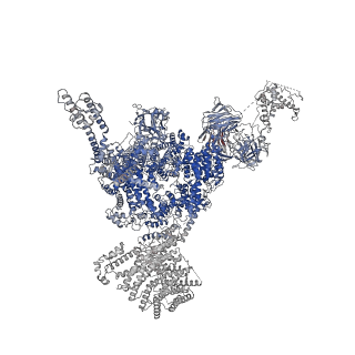 33940_7vmq_D_v1-0
Structure of recombinant RyR2 (Ca2+ dataset, class 3, open state)