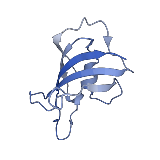 33940_7vmq_G_v1-0
Structure of recombinant RyR2 (Ca2+ dataset, class 3, open state)