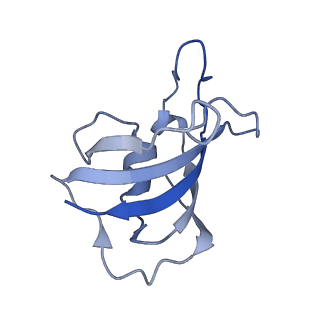 33940_7vmq_I_v1-0
Structure of recombinant RyR2 (Ca2+ dataset, class 3, open state)